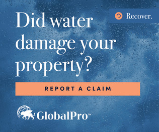 GP_FloodDamage_Web_Master_300 x 250 .jpg