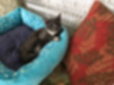 IMG_0048.jpeg