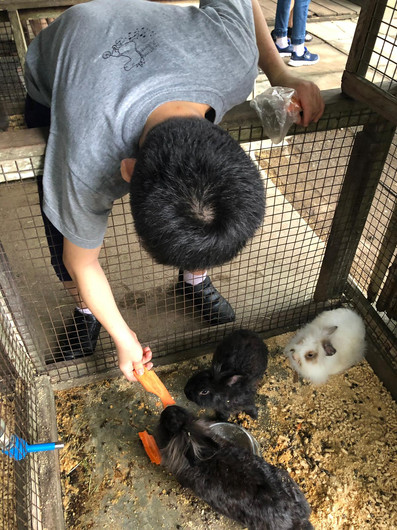 WhatsApp Image 2019-06-01 at 20.13.47.jp