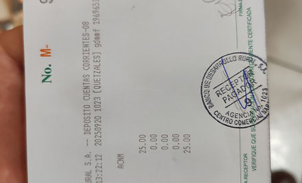 Ejemplo Boleta.jpg