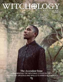 Faux Magazine - Aaron v2