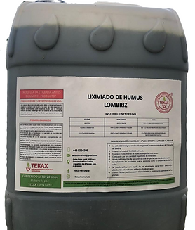 WhatsApp Image 2024-04-25 at 17.37_edite