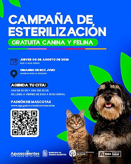 ESTERILIZACIÓN.jpeg