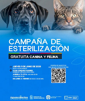 ESTERILIZACIÓN.jpeg