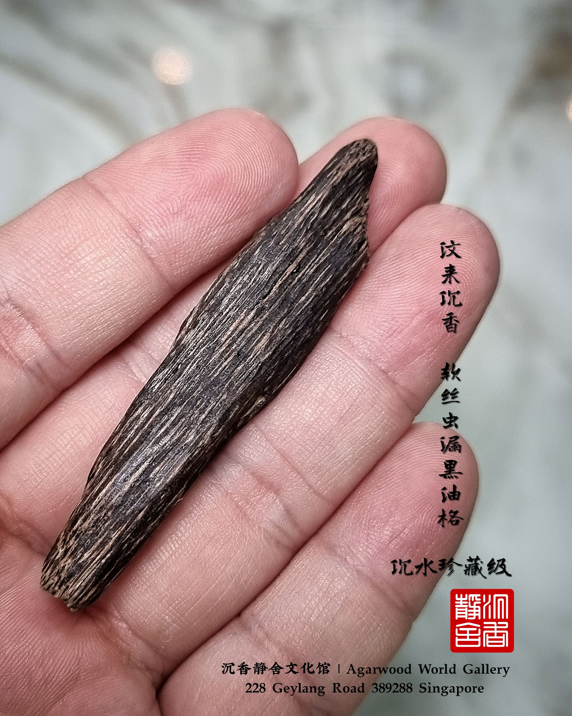 🌿沉香、汶莱 软丝沉水虫漏吊坠🍂Agarwood Pendant Brunei Sinking🌿