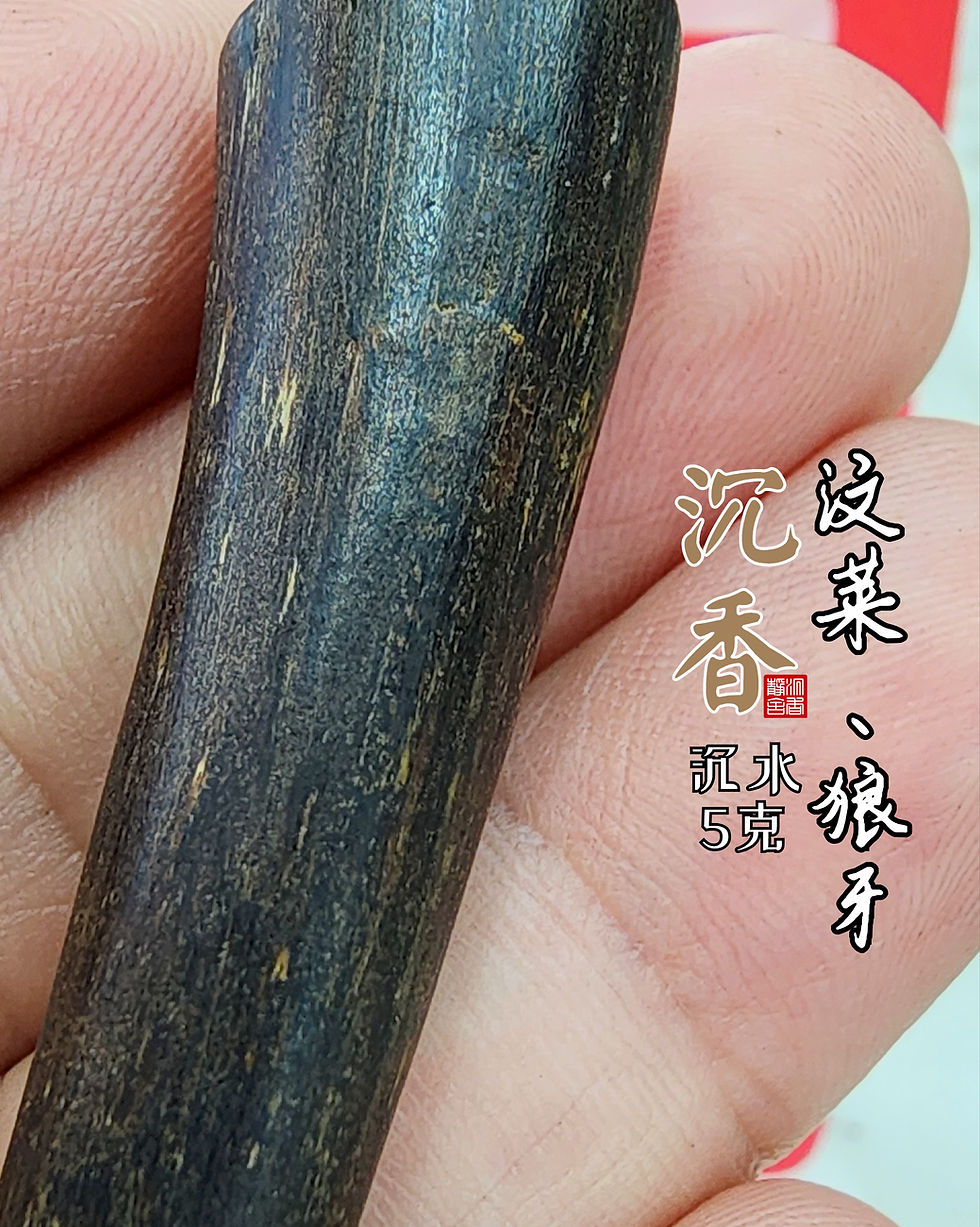 Thumbnail: 🇸🇬 沉香、汶莱狼牙 软丝高油脂 沉水
