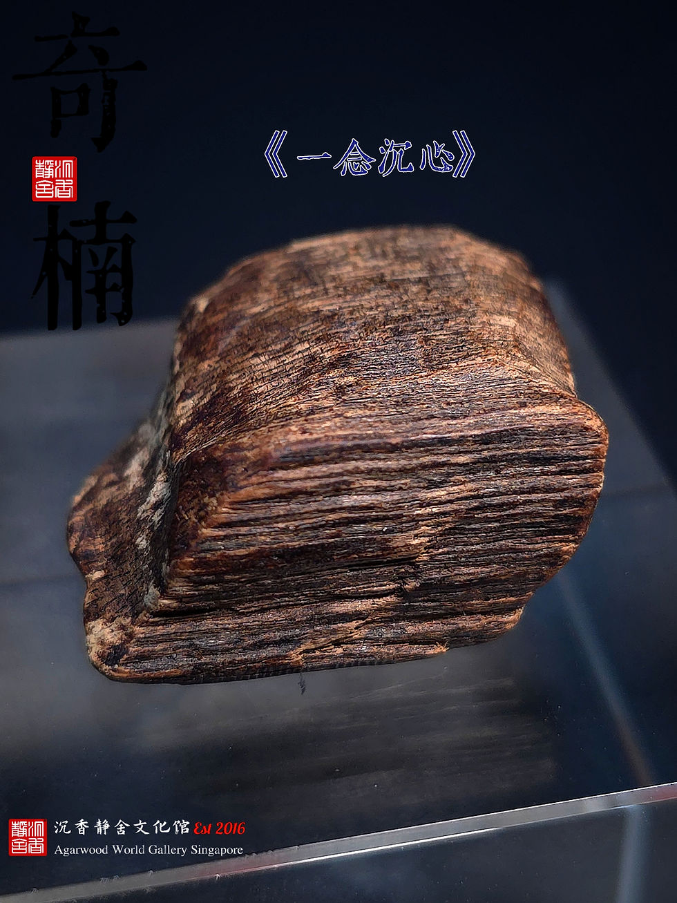 Thumbnail: 🇸🇬奇楠、皇家汶莱 · 黑棋 · 实心《一念沉心》