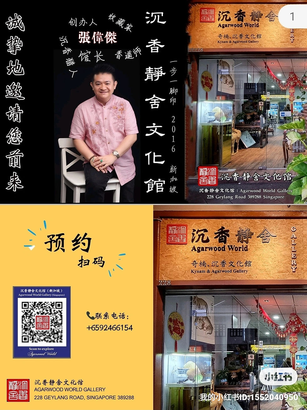 Thumbnail: 🇸🇬 沉香、菩萨棋 奇韵 90％沉 收藏级手串