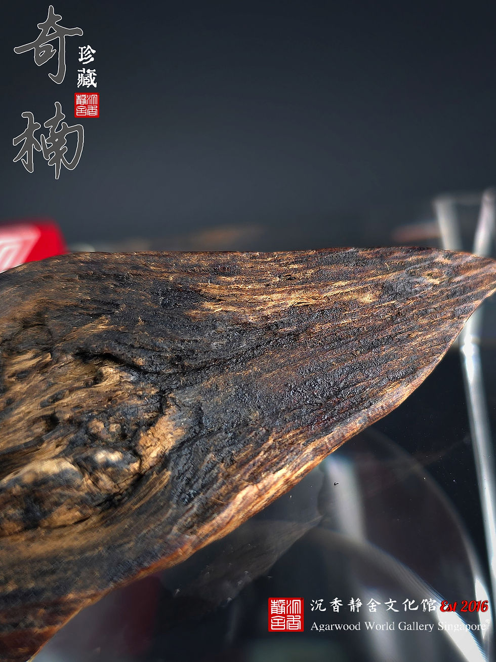 Thumbnail: 🇸🇬奇楠（紫棋）、达拉干 糖结「黑金之眼」