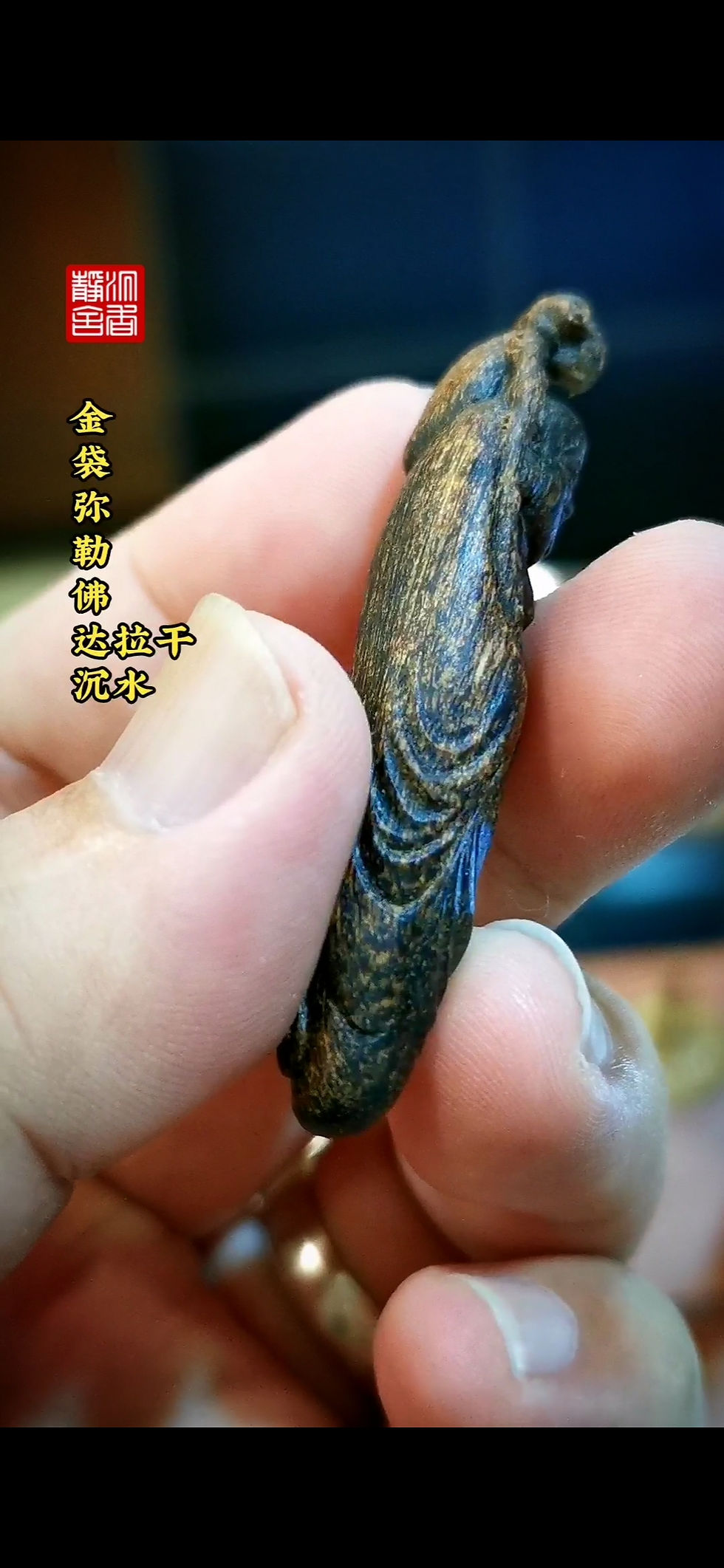 Thumbnail: 🌿金钱袋弥勒佛 达拉干 5.4g 沉水🌿