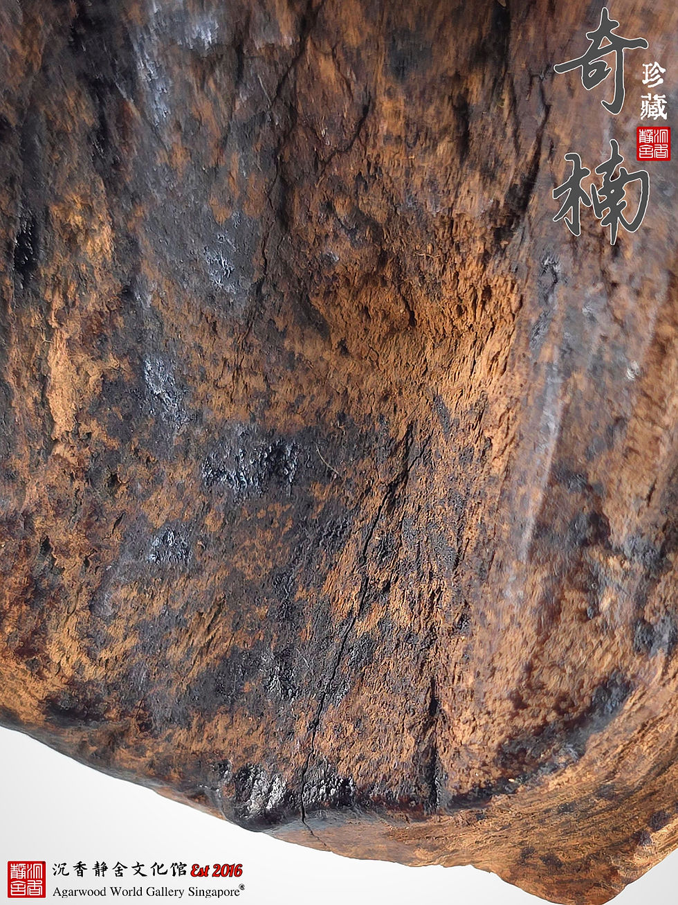 Thumbnail: 🇸🇬奇楠 · 皇室汶莱 日本回流料（2018年藏）