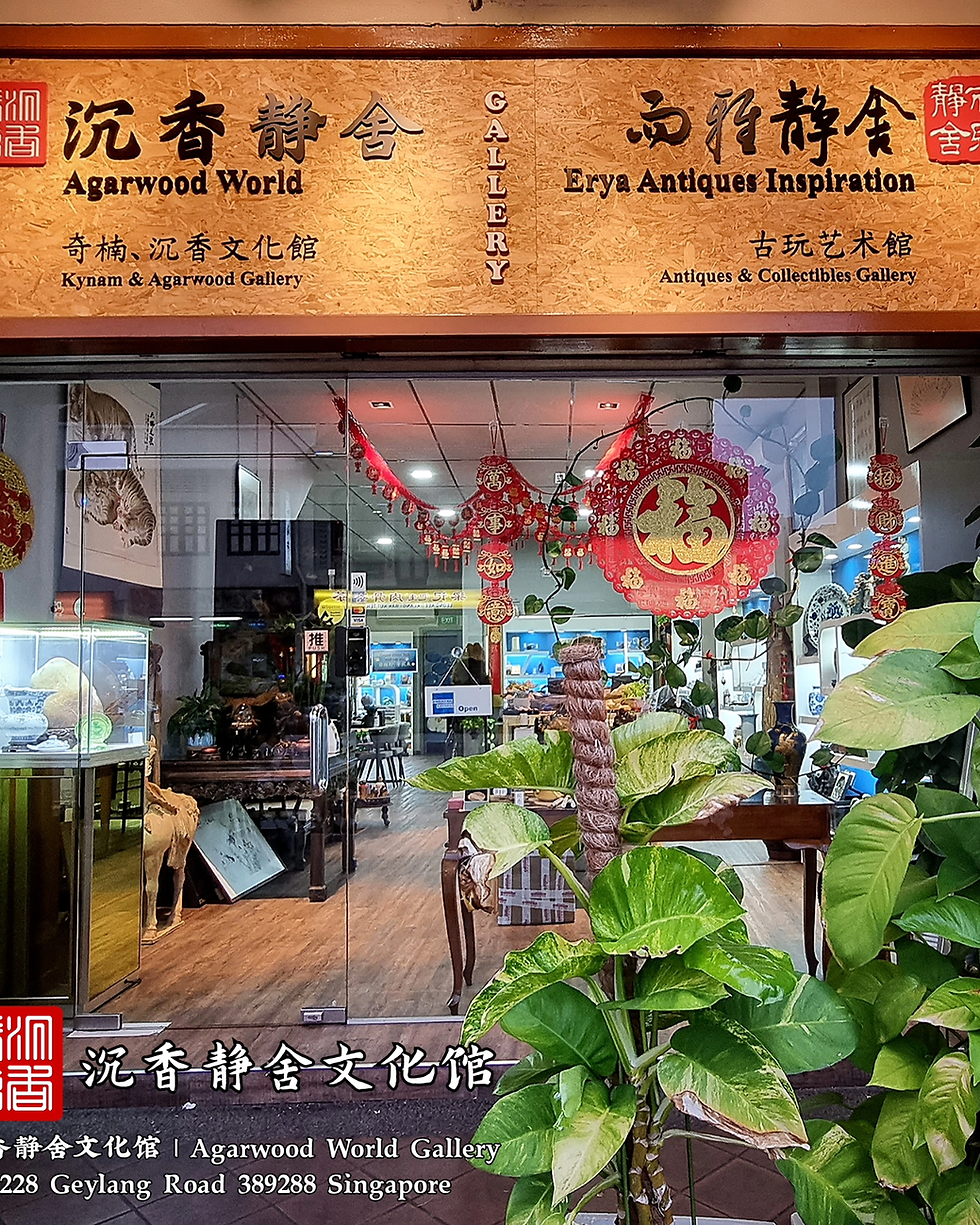 Thumbnail: 🇸🇬 沉香、佛祖平安牌 汶莱软丝沉水