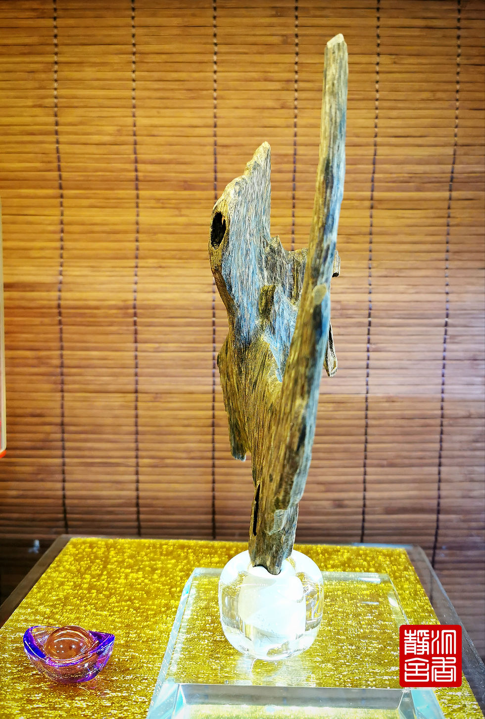 Thumbnail: 🌿Agarwood Vietnam Ngha Trang Ant Nest 34g 🌿