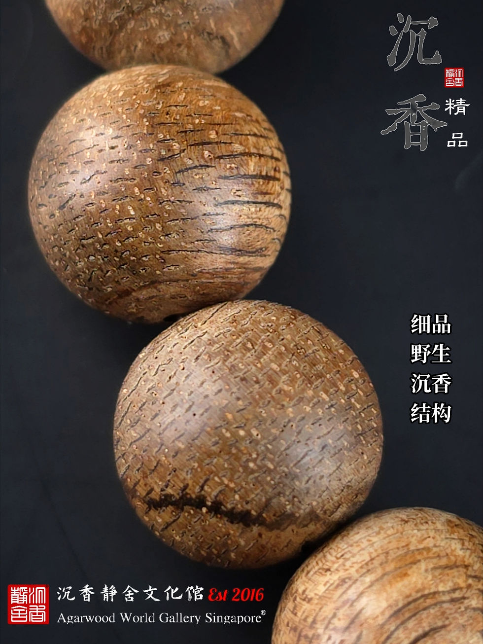 Thumbnail: 🇸🇬沉香、汶莱白晶体倒架 高山老料