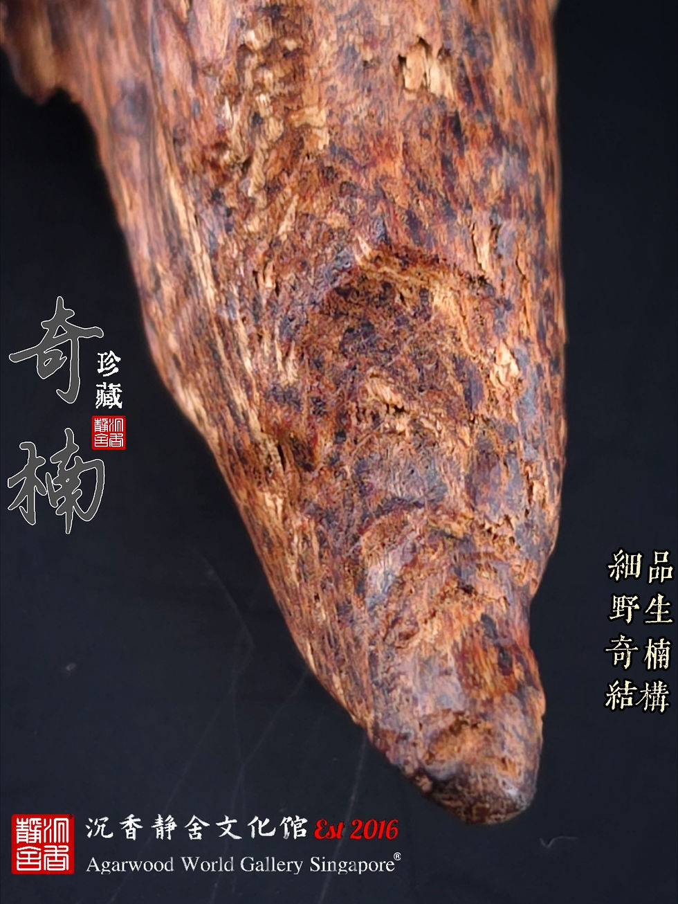 Thumbnail: 🇸🇬奇楠、达拉干＂紫棋＂瘤疤树心油 1997年藏 沉水 26.8克