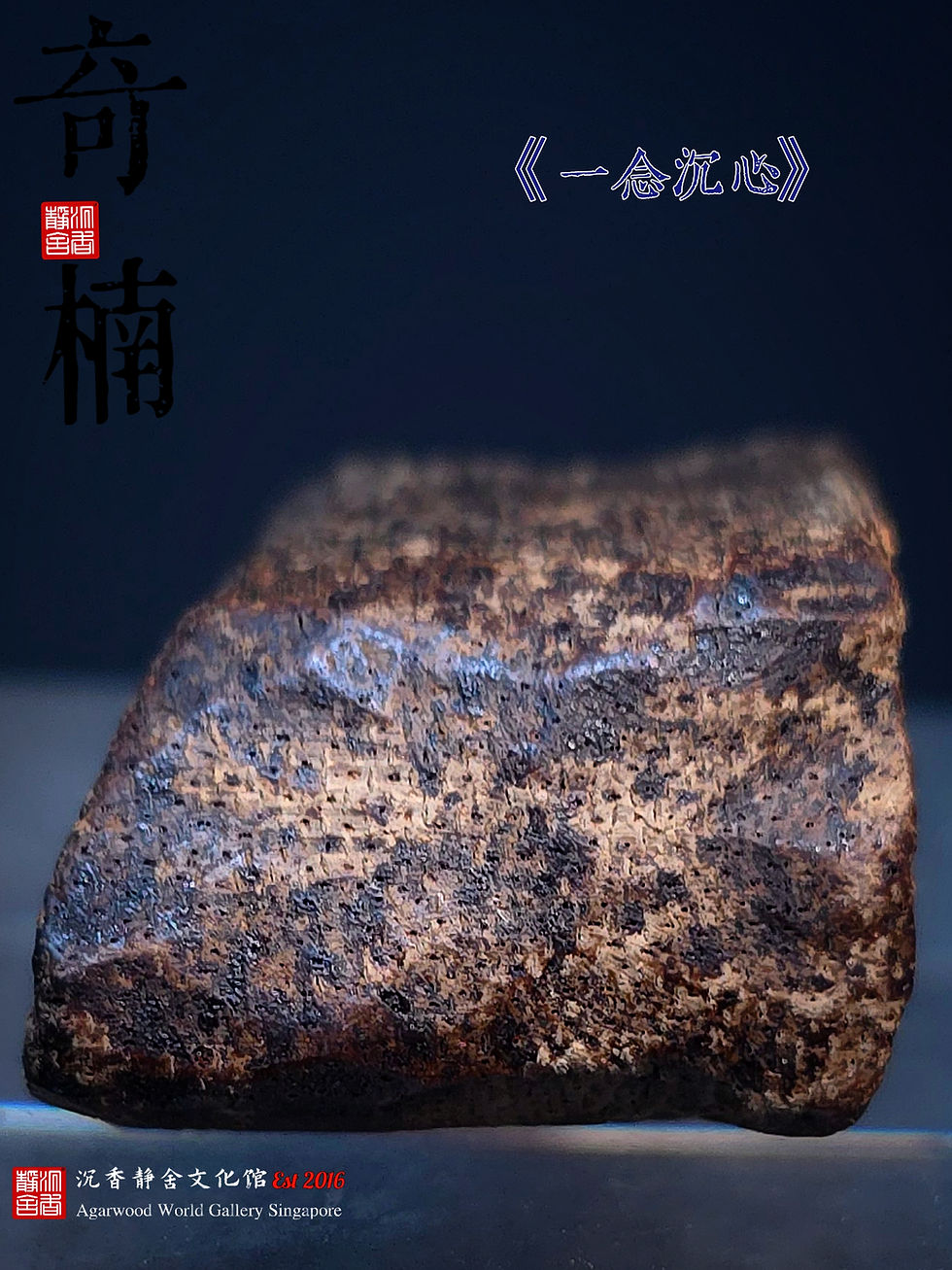 Thumbnail: 🇸🇬奇楠、皇家汶莱 · 黑棋 · 实心《一念沉心》