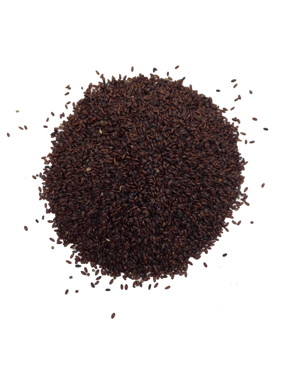 Psyllium seeds 100g