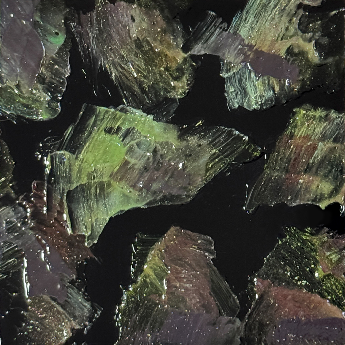 A quiet experiment 實驗系列XVII.jpg