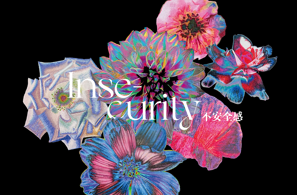 Insecurity 不安全感