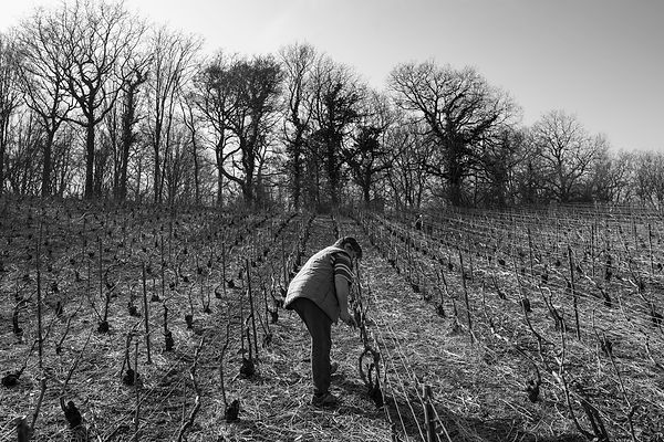 Photographe Champagne
