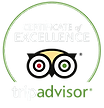 TRIP ADVISOR LOGO plain.png