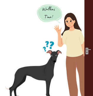 Dog walking in chesterfield