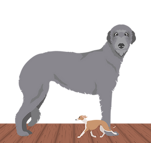 Emergency Ad-Hoc Fostering