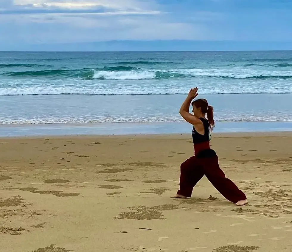 Intro to Kalaripayattu