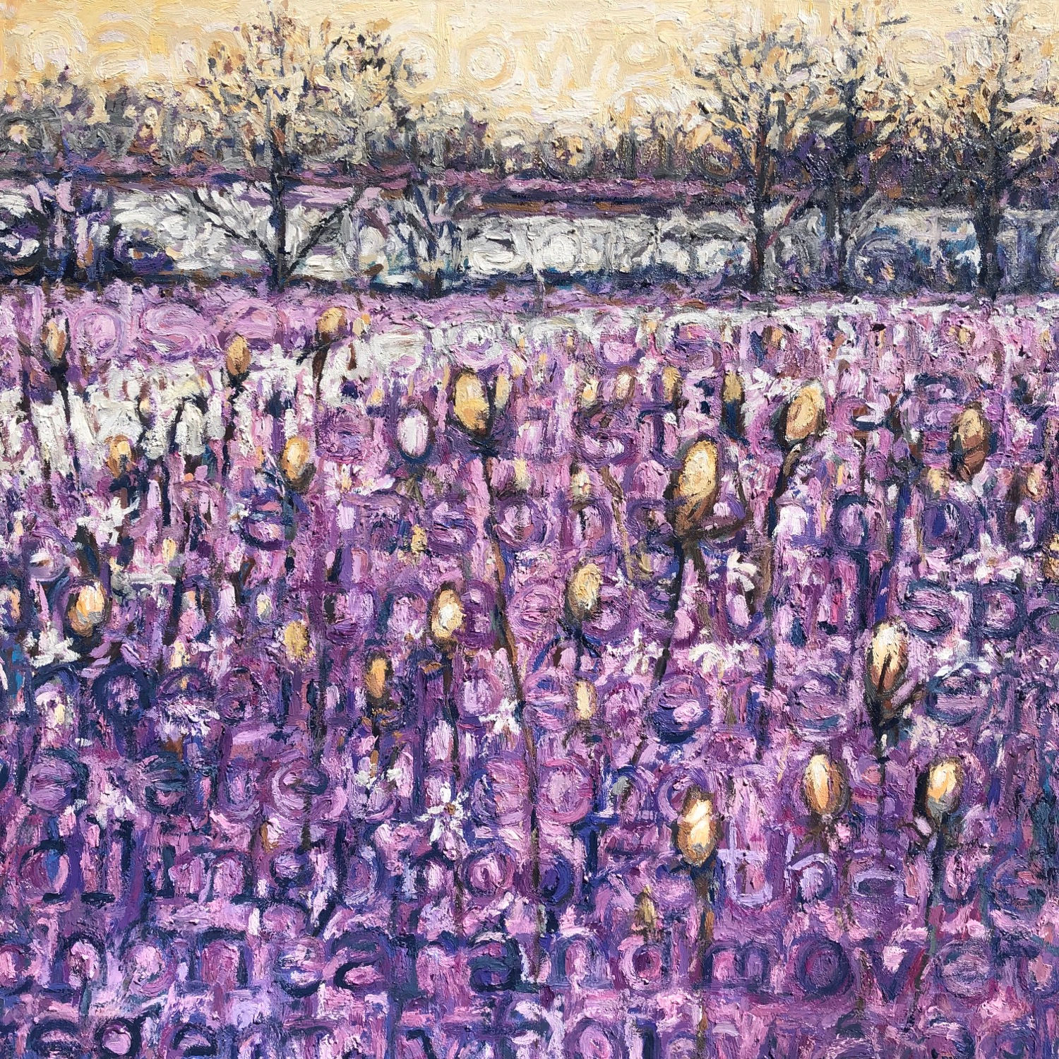 Purple Fields