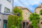 庭木の剪定