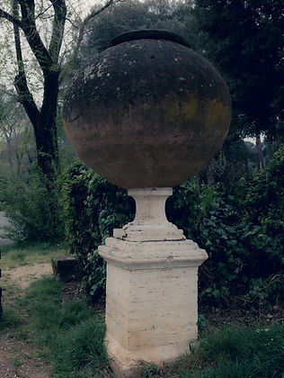 DSCF0258.jpg