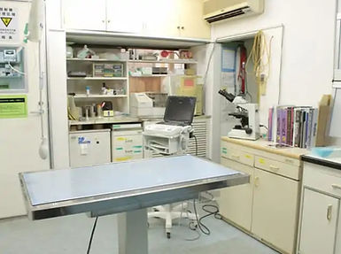 土・日曜・祝日も診療しています。