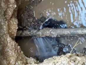 Small Leaks = Big Bills