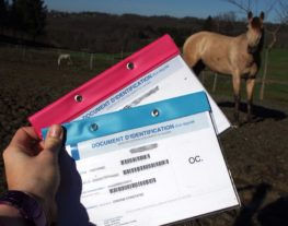 SIRE-document-identification-cheval-carr