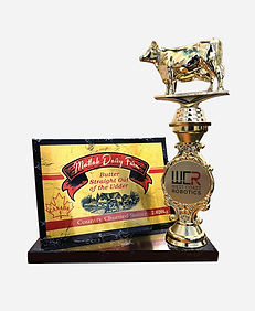 Custom recognition trophy with logo