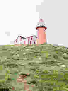 a white and red lighthouse perched on a grassy cliff in Ferryland, Newfoundland