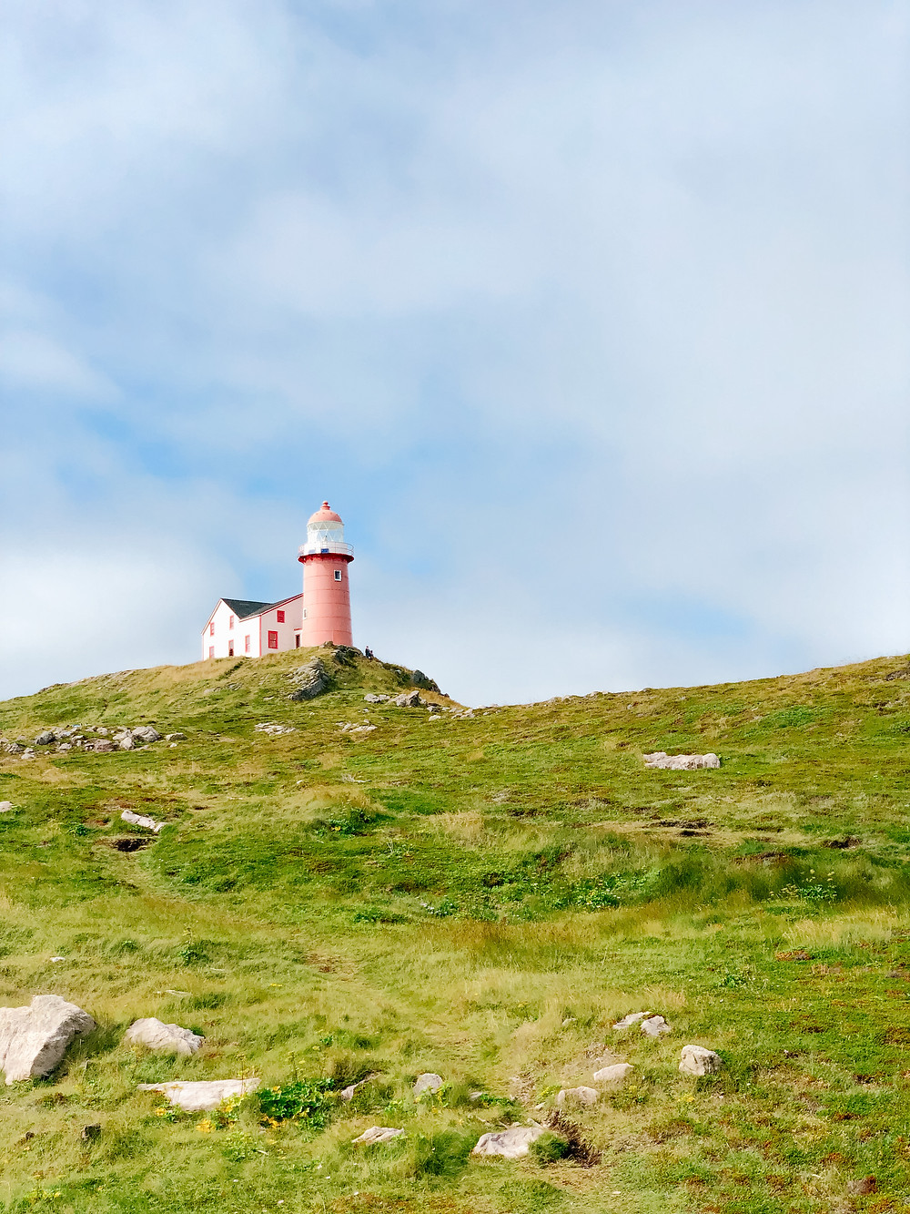 ferryland lighthouse on a sunny day in Newfoundland
