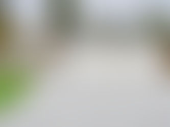 Asphalt vs Concrete Driveways