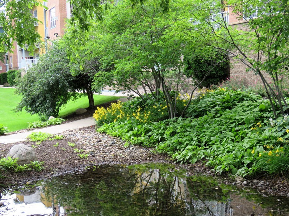 River-created "pond" after a rain - 6/29/24 - St Paul, MN