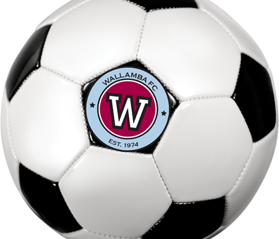 End of Year Soccer Arvos - W's of 2019 - u7's, u8's and u9's