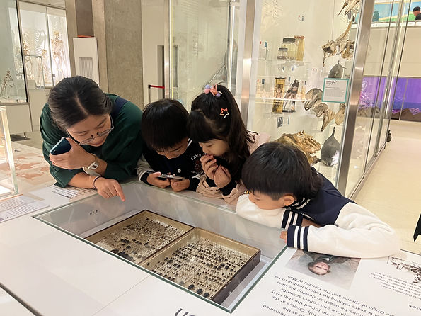 3. Museum of Zoology.jpg