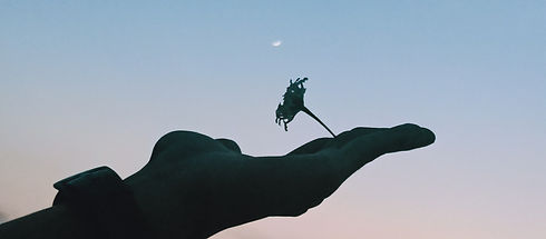 IMG20200623192242 - Copy - Copy (2).jpg