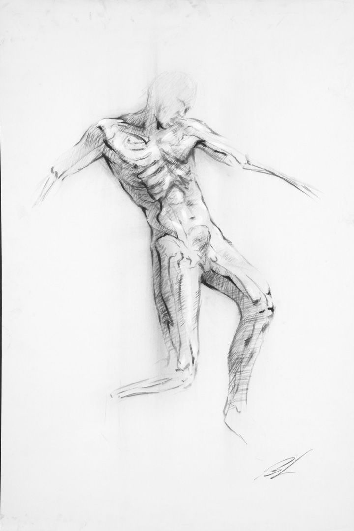 Anatomy Study 2