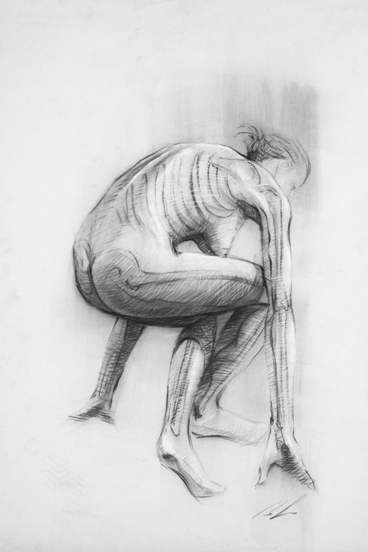 Anatomy Study 1