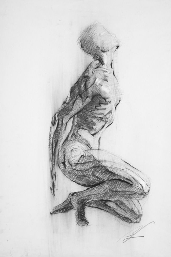Anatomy Study 4