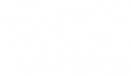 1556608.webp