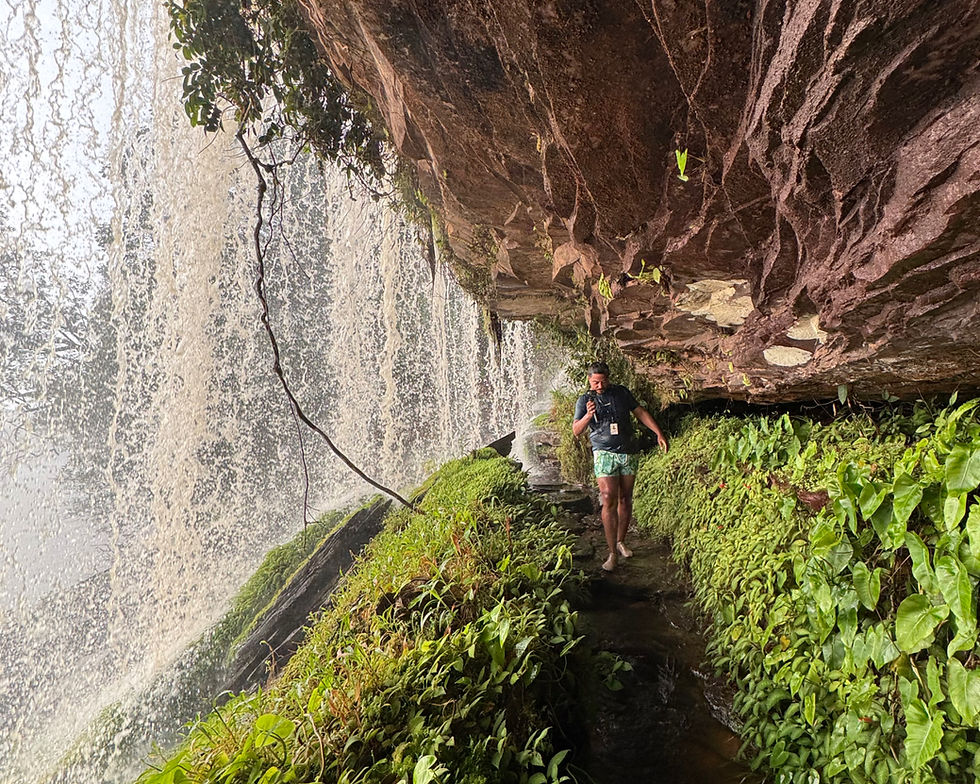 Cachoeira salto angel e cachoeira el sapo canaima