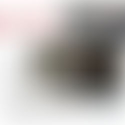 뉴스토마토 - 정치자금법 위반 관련 인터뷰