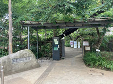 樺太植物というレディ・メイド