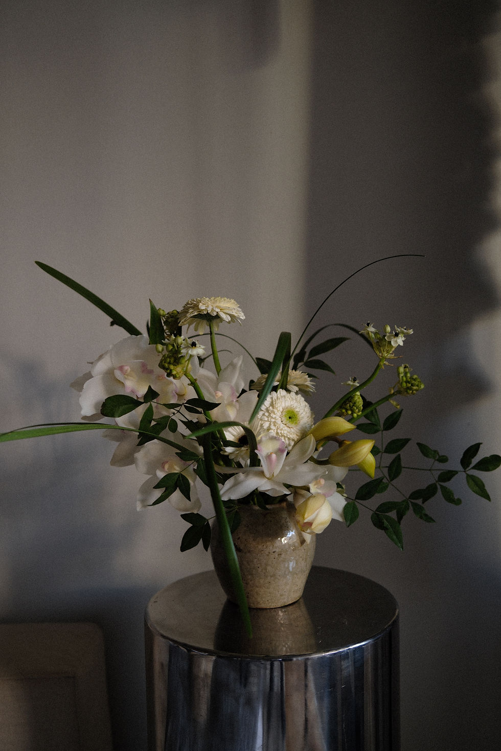 DSCF1173.JPG